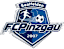 Pinzgau Saalfelden logo