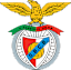 Benfica Castelo Branco team logo