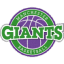 Manchester Giants logo