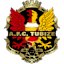 Royal Union Tubize-Braine logo