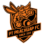 Prachuap FC logo