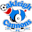 Oakleigh Cannons logo