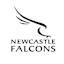 Newcastle Falcons logo