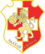Naxxar Lions FC logo