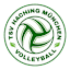 Haching München logo