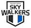 Hyundai Skywalkers logo