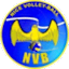 Nice VB logo