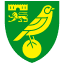 Norwich logo