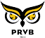 Plessis Robinson logo