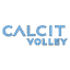 Calcit Volley