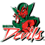 Mississippi Valley State
