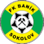Sokolov logo