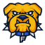 Fisk logo