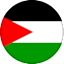 Palestine logo