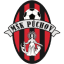 Puchov logo