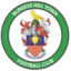Burgess Hill Town team logo