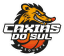 Caxias do Sul