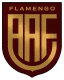 Flamengo/Sp Youth