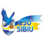 Csu Sibiu