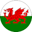 Wales logo