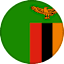 Zambia logo