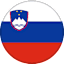 Slovenia U21