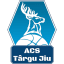 Acs Targu Jiu