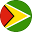 Guyana logo