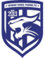 Wuhan Three Towns logo