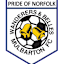 Mulbarton Wanderers logo