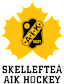 Skelleftea AIK