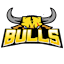 Franklin Bulls