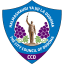 Dodoma Jiji logo