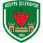 Kestelspor team logo