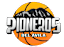 Pioneros del Ávila