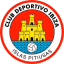 Ibiza Islas Pitiusas logo