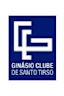 Santo Tirso logo