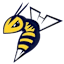 Edmonton Stingers