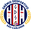 Grêmio São Carlense/Sp Youth