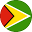 Guyana (W) logo