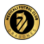 Dragones Toluca logo
