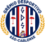 São-Carlense logo