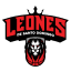 Leones de Santo Domingo
