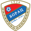Borac Banjaluka logo