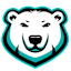 Winnipeg Sea Bears