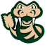 Saskatchewan Rattlers
