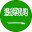 Saudi Arabia (W) logo