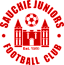 Sauchie Juniors logo