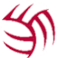 Branik Maribor (W) logo