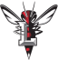 Virginia-Lynchburg logo